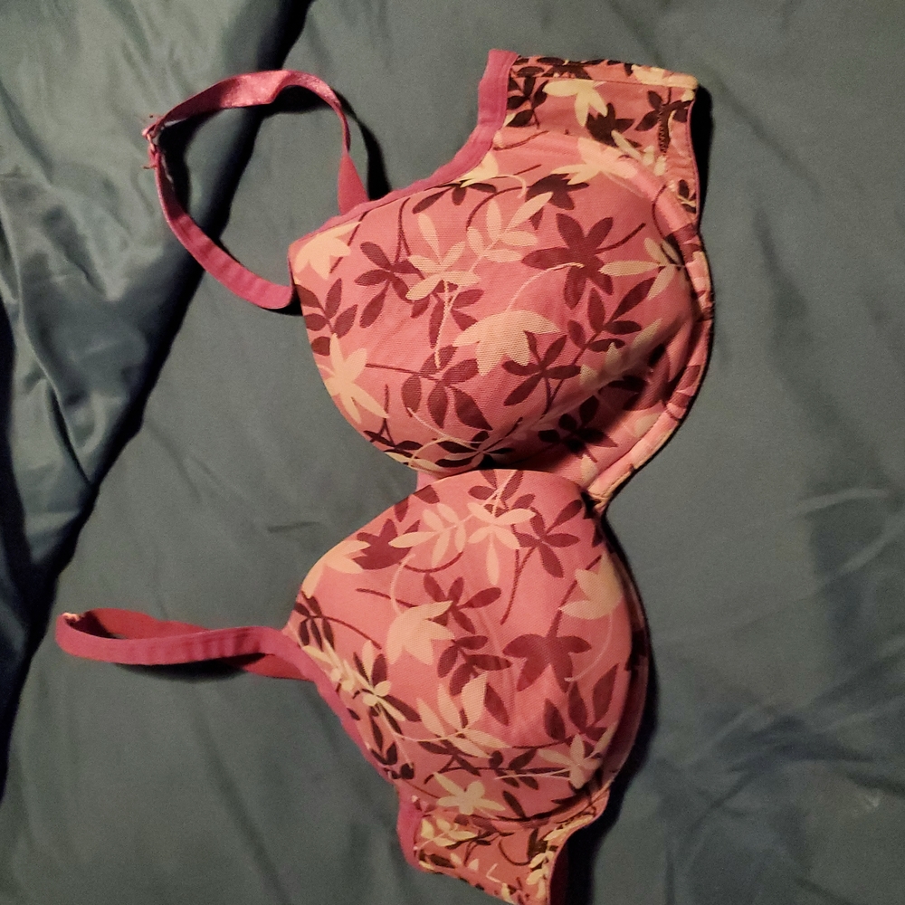 44C bra